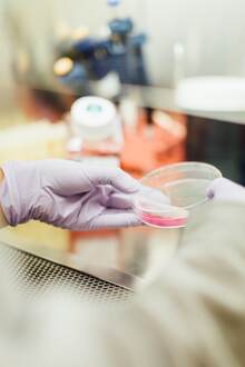 A gloved hand is shown holding  a petri dish in aesearch lab